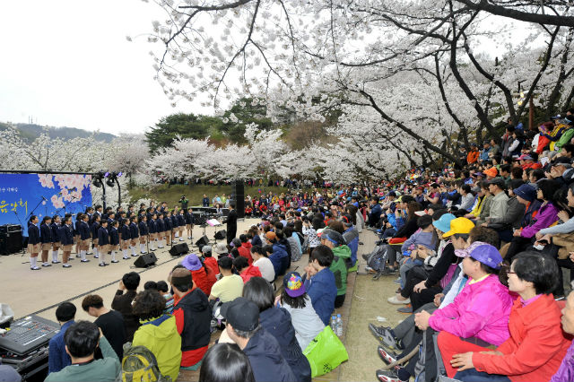 지난해 서대문구 벚꽃음악회 모습