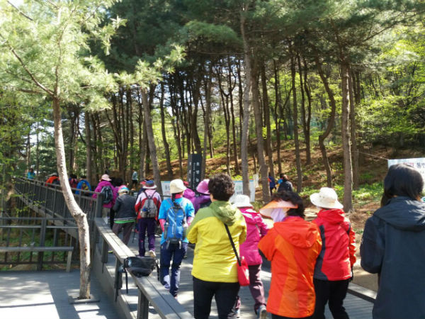 금천 걷기동아리 회원들의 활동 모습