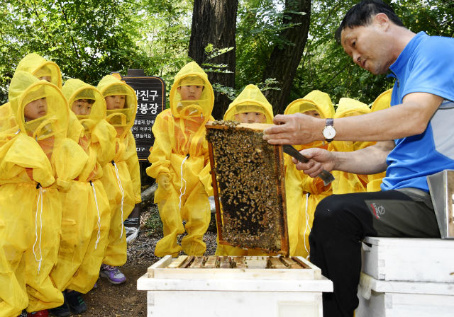 광진구 도시양봉장에서 어린이들이 꿀벌 체험을 하고 있다