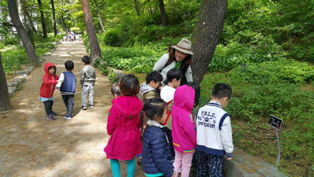아이들이 홍릉수목원에서 진행된 '아토피 힐링 숲체험 교실'에서 숲 해설가의 설명을 듣고 있다