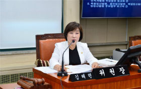 김혜련 서울시의회 보건복지위원장