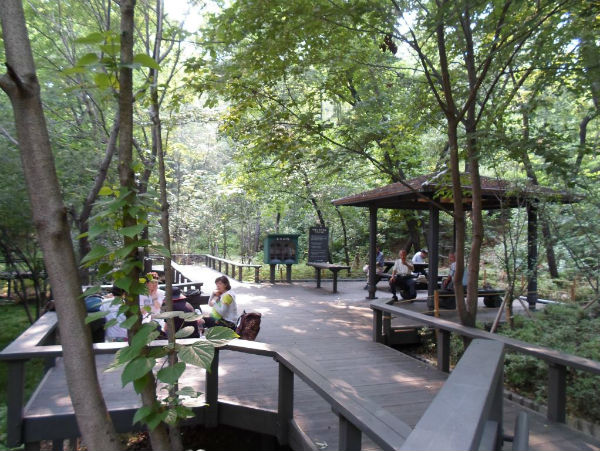 방문객들이 매봉산 숲속에서 휴식을 즐기고 있다