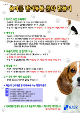 강남구 올바른 반려동물 문화만들기 포스터