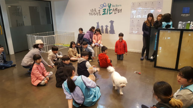 강동구는 초등학생 대상으로 입양카페 리본에서 '동물복지 선행교육'을 진행한다