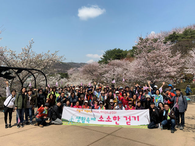 서대문, 은평, 마포 등 서울 서북3구 주민이 ‘소소한 걷기’ 행사에 참여하고 있다
