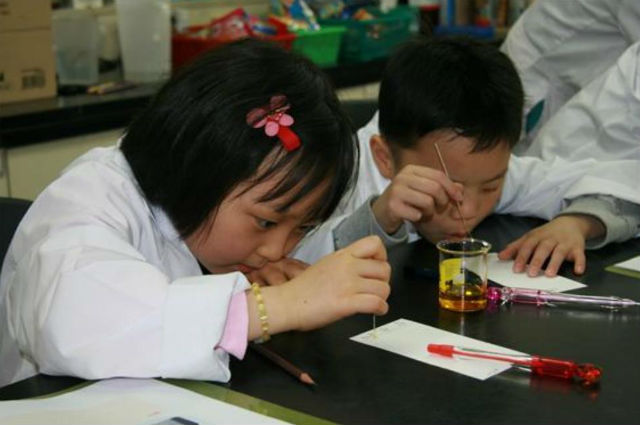 여름방학 어린이 과학 체험 교실에서식품의 색소 분리 실험을 하고 있는 모습