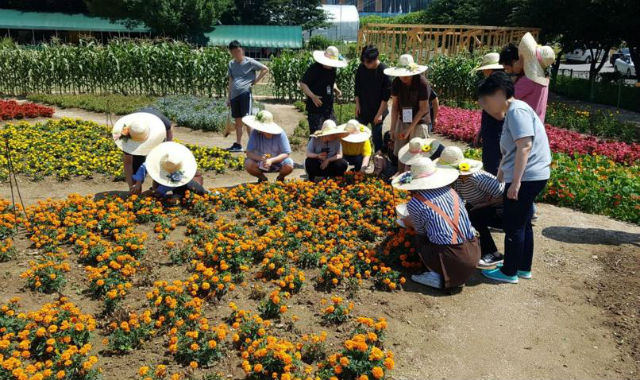 서울시가 심리적 안정을 위한 치유농업 프로그램을 운영한다