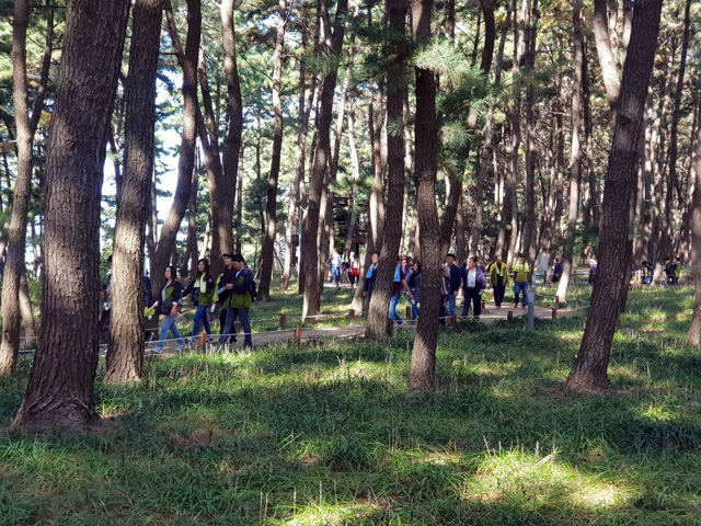 서천 송림마을