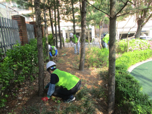▲ 낙성대동 약수어린이공원에서 근로자들이 낙엽 청소를 하고 있다