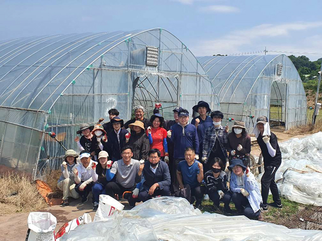 홍성군 가정행복과 직원들이 농촌일손돕기를 진행하고 있다 