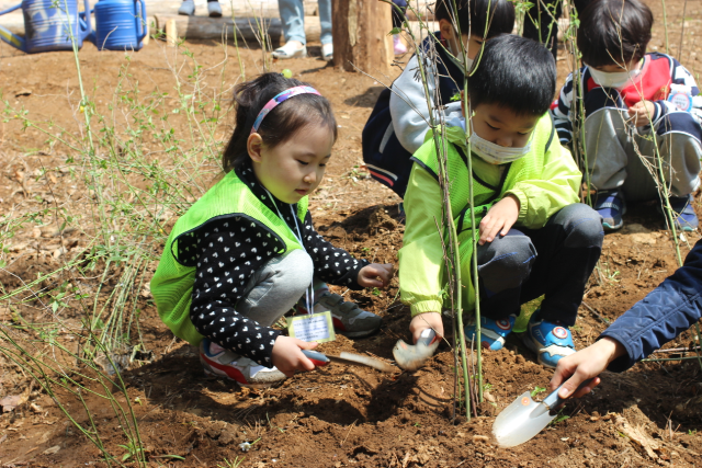 ▲아차산 생태공원 인근 체험 학습장에서 운영하는 ‘숲 어린이집’ 프로그램 활동 모습