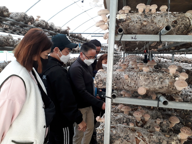 현장지원단이 청년창업농 표고버섯 재배농가를 방문해 애로사항 및 건의사항을 청취하고 있다