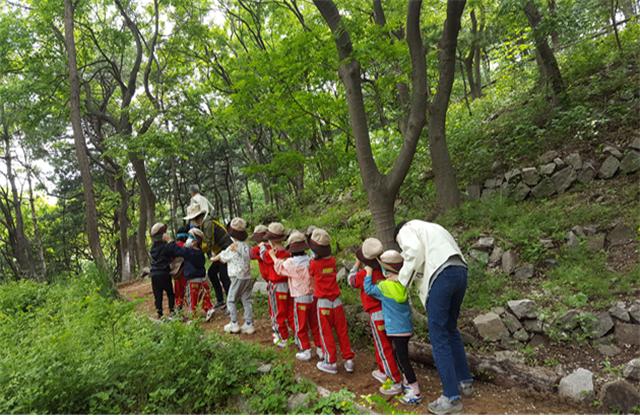 어린이들이 북한산에서 '유아숲체험’ 을 하고 있다