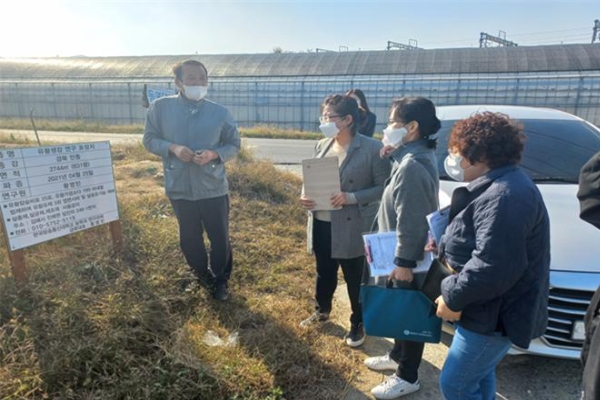 지난해 11월 안심식재료 지킴이단이 김해시 유황생강 생산농가를 방문해 농산물 재배 현황을 확인하고 있다