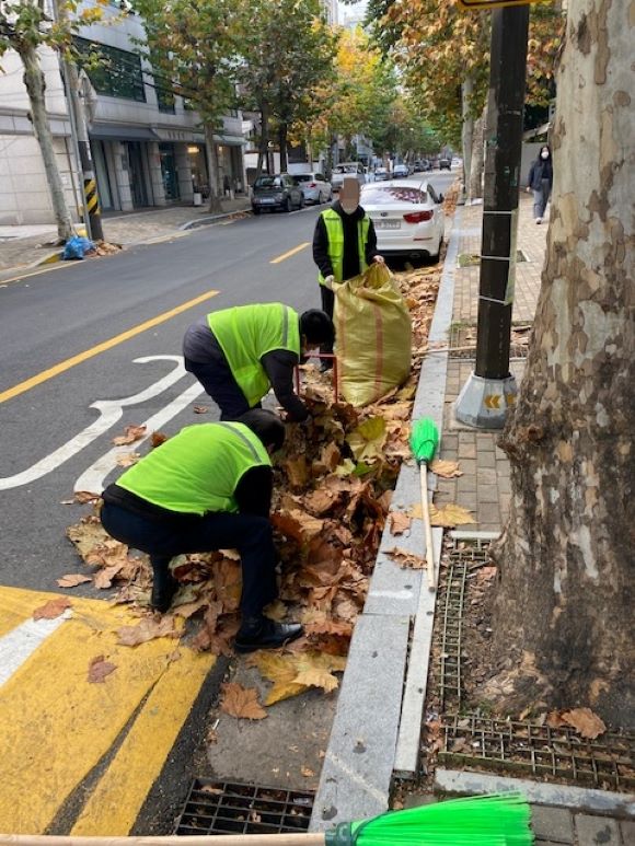 안심일자리 사업 참여자들이 가을철 도로에 떨어진 낙엽을 수거하고 있다
