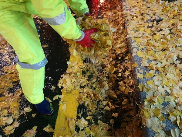 지난 12일 강우 시 빗물받이로 유입된 낙엽 제거 중인 모습