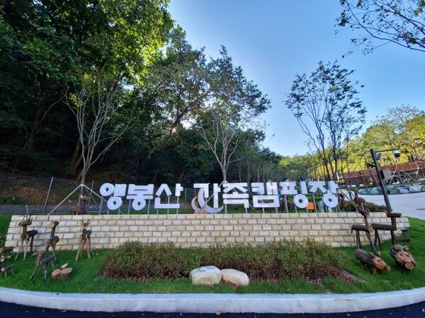 ü ϴ ٸ ޺갡ķ塯