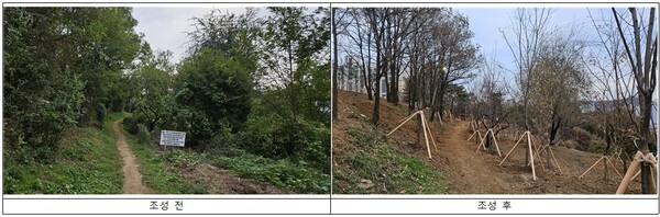 ▲ 온수근린공원 기후대응 도시숲 조성 전과 후 모습